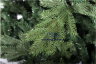 Искусственная елка Royal Christmas Spitsbergen Deluxe 180см.